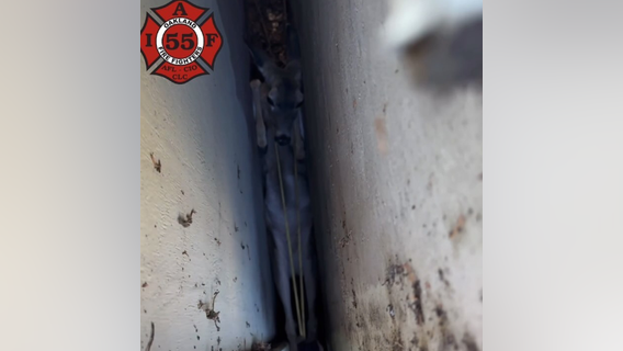 Oakland fire crews rescue trapped deer