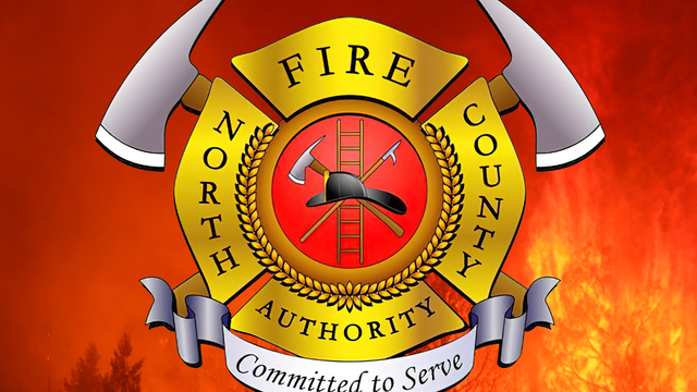 Pets may have caused house fire in Pacifica home