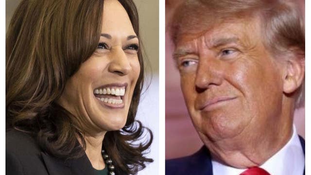 Legendary presidential predictor Allan Lichtman makes his 2024 White House pick