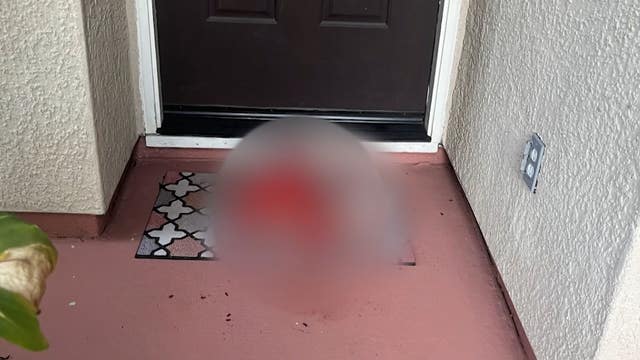 Severed pig head left on California family's front porch
