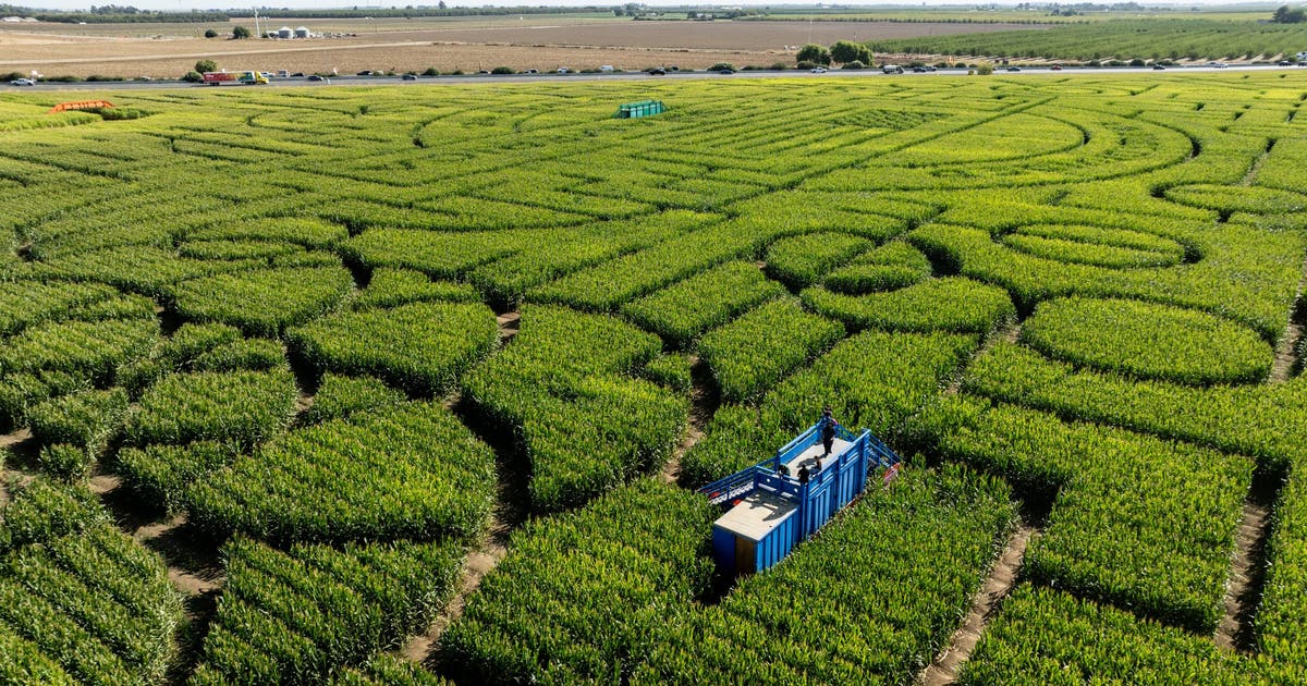 gettyimages-2178242539-scaled.