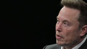 Tesla shares tumble after Elon Musk unveils robotaxi