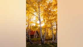 Photos: Stunning colors of fall foliage at Mammoth Lakes