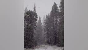 Sierra blanketed with October snow, more expected