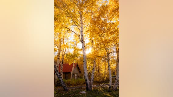 Photos: Stunning colors of fall foliage at Mammoth Lakes