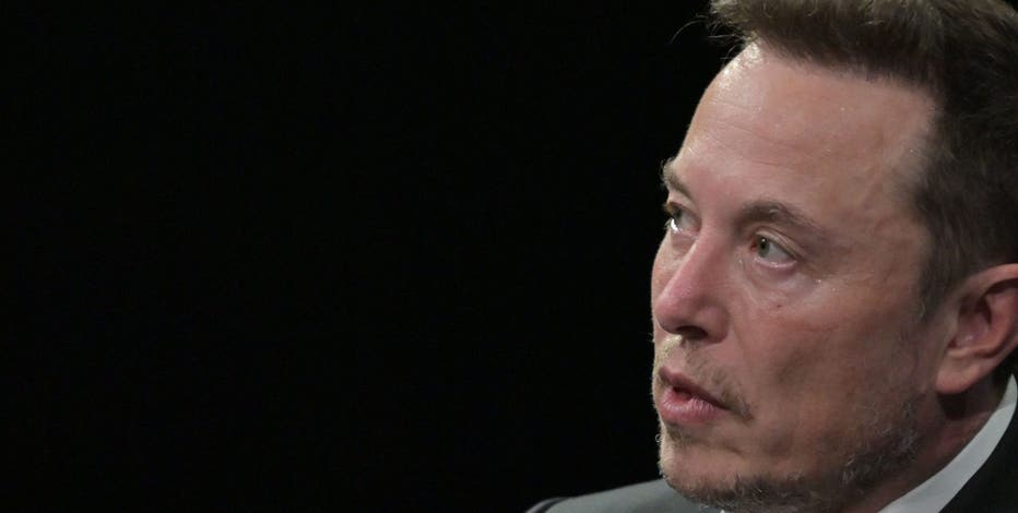 Tesla shares tumble after Elon Musk unveils robotaxi
