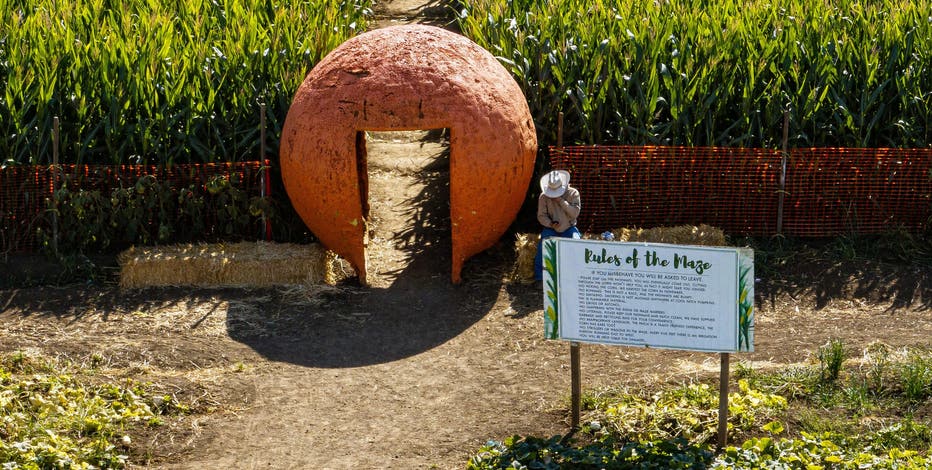 The Bay Area is home to this massive, world-record corn maze