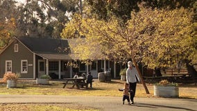 East Bay Regional Parks celebrates Green Friday, waives park fees