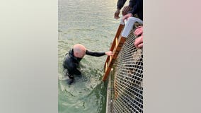 2 rescued on San Francisco's Lake Merced after boat capsizes