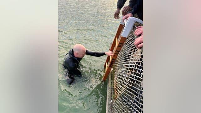 2 rescued on San Francisco's Lake Merced after boat capsizes