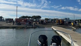 Row team's boat capsizes on Brisbane Marina