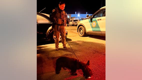 Dog trapped in car for 3 days rescued by Marin County deputies