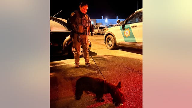 Dog trapped in car for 3 days rescued by Marin County deputies