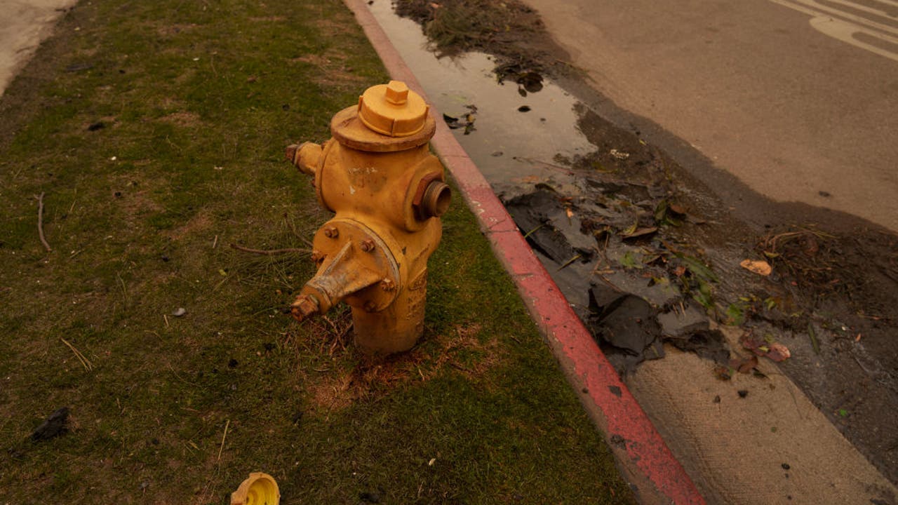 Newsom Orders Investigation into LA Water Shortages