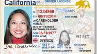 DMV error forces 300,000 Californians to replace REAL-ID cards