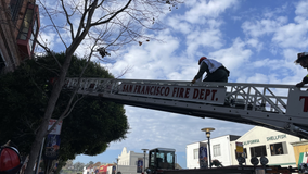 SFFD, animal control rescues heron tangled in tree by fishing line