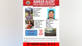 AMBER Alert for 2 toddlers after mother found dead in Central Valley home: Sheriff