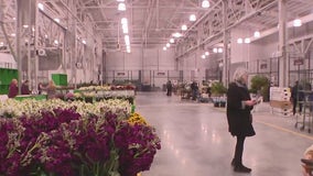 New Year brings changes for San Francisco Flower Mart