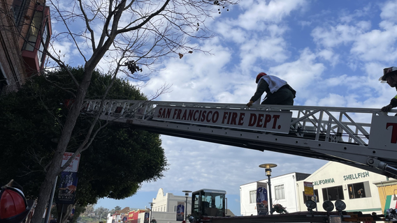 SFFD, animal control rescues heron tangled in tree by fishing line