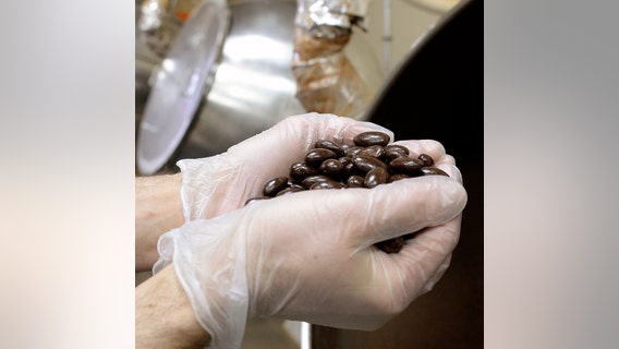 Bay Area chocolate recall upgraded to highest level by FDA