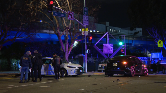 Tesla driver in deadly San Francisco 7-car crash released