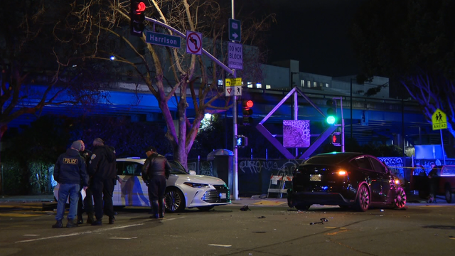 Tesla driver in deadly San Francisco 7-car crash released