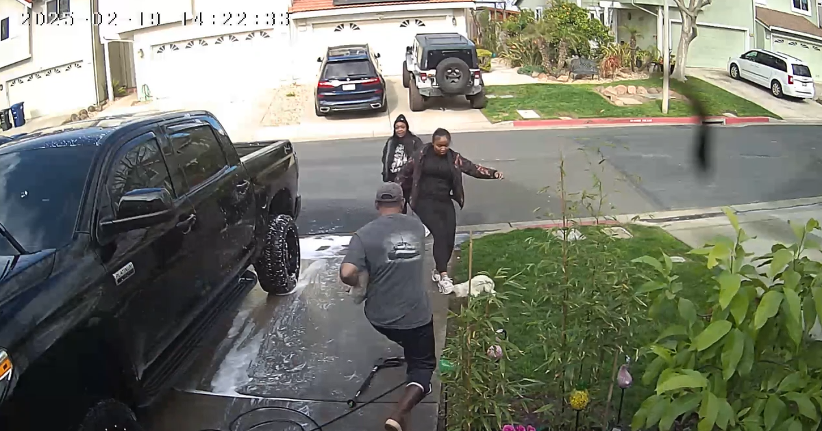 Woman seen on video kicking dog during Pittsburg neighbor dispute ...