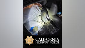 125 pounds of marijuana seized during traffic stop in East Bay