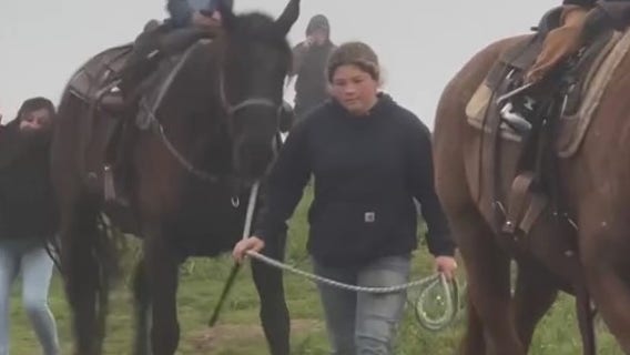 VIDEO: Child thrown from startled horse at Daly City horse stables