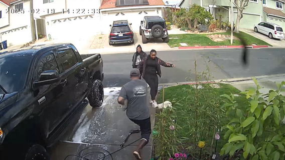 Woman seen on video kicking dog during Pittsburg neighbor dispute