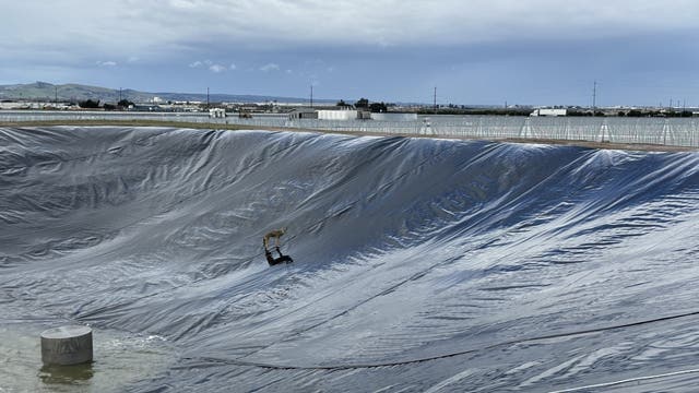 Coyote rescued from water retention pond in Monterey County
