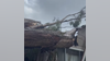 Large tree slams onto Rohnert Park house, trapping person inside