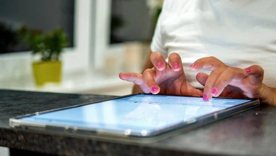 Foreign-born workers now two-third of South Bay tech workforce: study