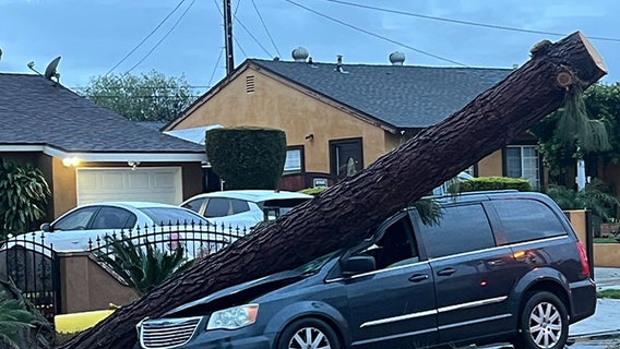 Tornado touches down in SoCal as storm knocks down trees