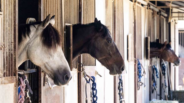 Shuttered horse track at Alameda County Fairgrounds hopes for revival