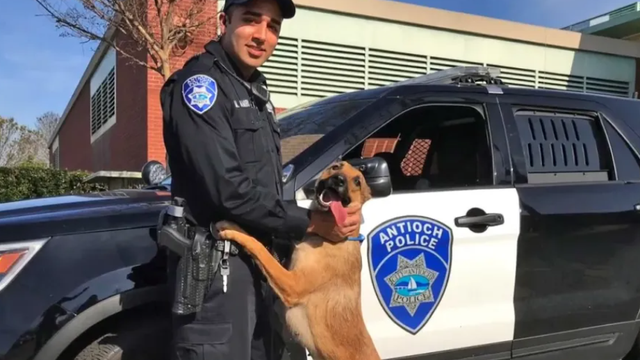 Former Antioch officer sentenced to 7 years in prison over K-9 deployment, lies