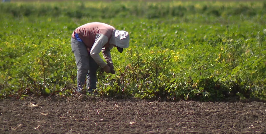 Bay Area farmers face uncertainty as tariff risk looms