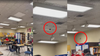 Video shows rat dropping from ceiling of Union City high school
