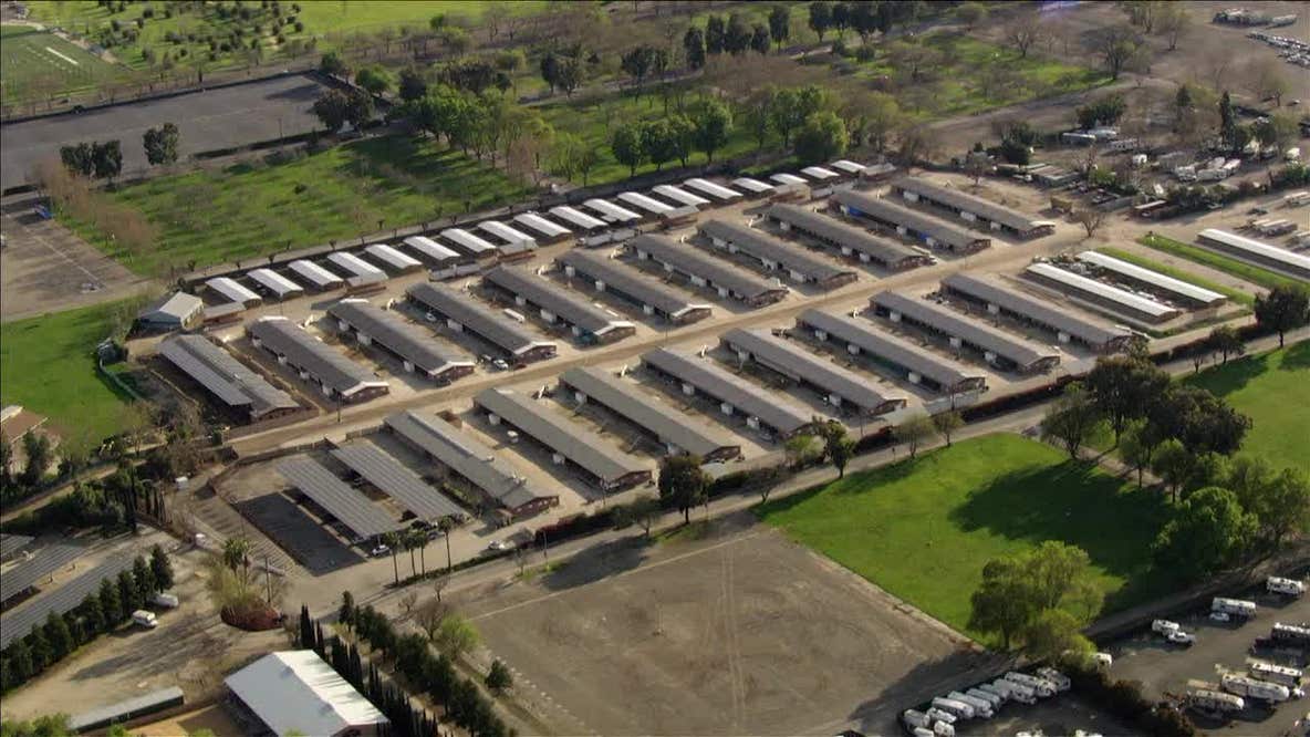 Alameda County Fair more profitable without horse racing — why some still want it back