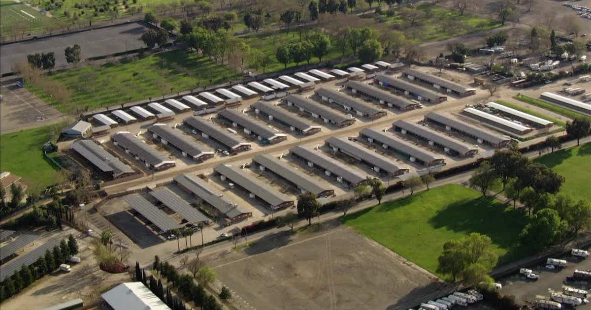 Alameda County Fair more profitable without horse racing — why some still want it back