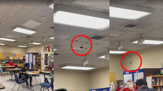 Video shows rat dropping from ceiling of Union City high school