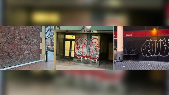 San Jose graffiti artists arrested in separate vandalism cases