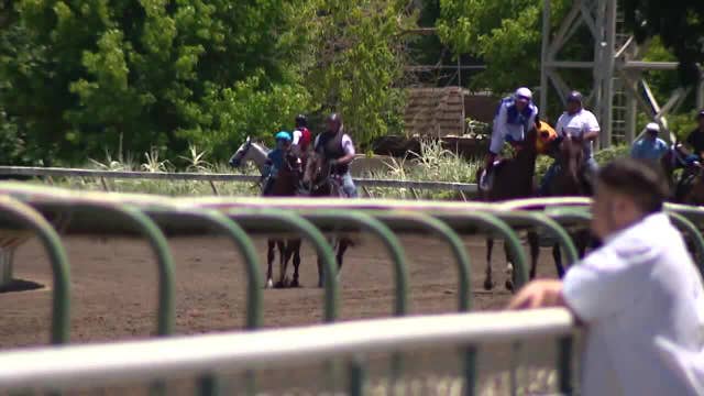 How the Alameda County Fair lost a $5 million bet to save horse racing