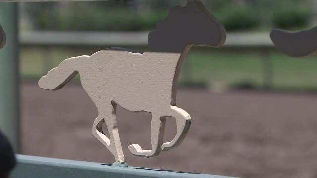 Sonoma County Fair cancels horse racing for 2025