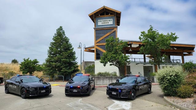 'Potential murder-suicide' discovered in North Bay during welfare check