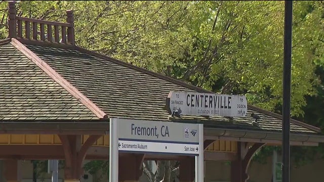 Decapitated, eviscerated animals found at Fremont train station