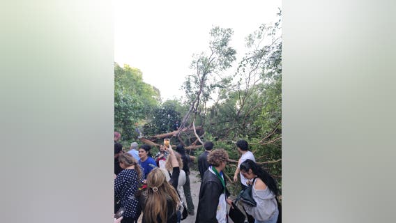 Multiple injured after tree falls during Diablo Valley College graduation