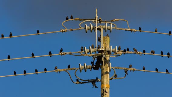 California may give up a lot of freedom to join western power grid