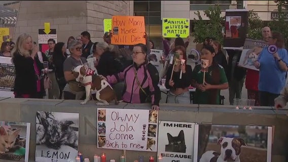 Vigil held for animals who died at San Jose Animal Care Center
