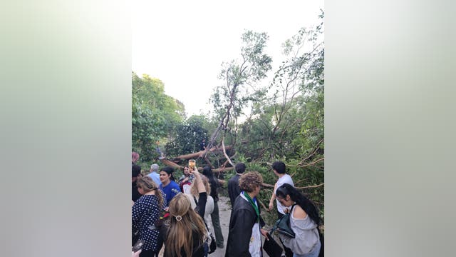 Multiple injured after tree falls during Diablo Valley College graduation